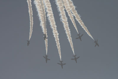 Red Arrows (24)